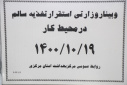 وبینار وزارتی ستقرار تغذیه سالم در محیط کار، سالن جلسات مرکز بهداشت استان مرکزی، ۱۹ دی ماه