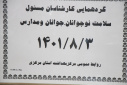 گردهمائی کارشناسان مسوول سلامت نوجوانان، جوانان و مدارس، سالن جلسات مرکز بهداشت استان مرکزی، ۳ آبان ماه