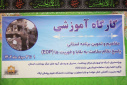 کارگاه آموزشی مفاهیم و تدوین برنامه ملی پاسخ نظام سلامت به بلایا ،فوریت ها EOP( دوره کوتاه مدت صلاحیت حرفه ای گروه مدیریت خطر حوادث و بلایا) برگزار شد.
