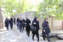 پویش &quot;سلامتی را قدم بزن&quot;