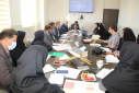 کمیته استانی مرگ مادر برگزار شد.