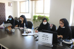 وبینار تکامل کودکانASQ۳،سالن جلسات مرکز بهداشت استان مرکزی، ۱۹ مرداد ماه
