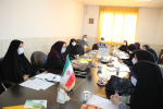 کارگاه آشنایی با تکنیک های ارتباطی و رسانه ای در اقناع سازی، سالن جلسات مرکز بهداشت استان مرکزی، ۱۰ دی ماه