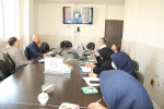 وبینار وزارتی برنامه ملی سلامت خانواده