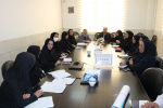 برگزاری جلسه کارگروه ثبت غربالگری و مدیریت درمان در پویش ملی سلامت&quot; غربالگری دیابت و فشار خون بالا&quot;، سالن جلسات مرکز بهداشت استان مرکزی، ۱۳ آذر ماه