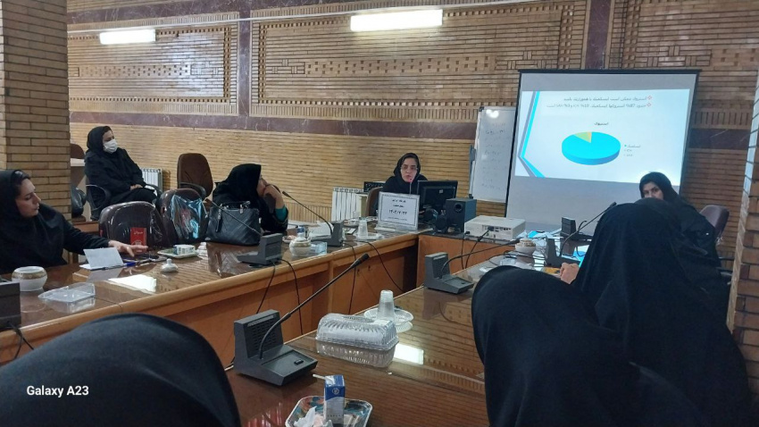 سمینار یکروزه ایراپن و خطر سنجی پیشگیری از سکته های قلبی و مغزی برگزار شد.