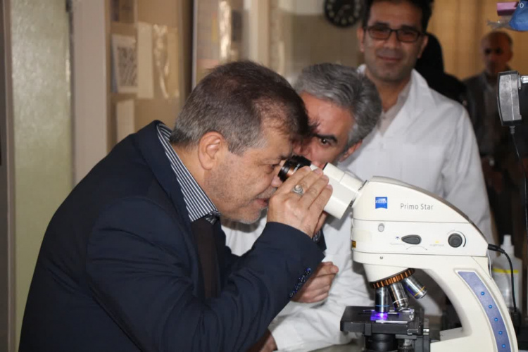 بازدید سرپرست معاونت بهداشت از آزمایشگاه مرکزی و آزمایشگاه سل