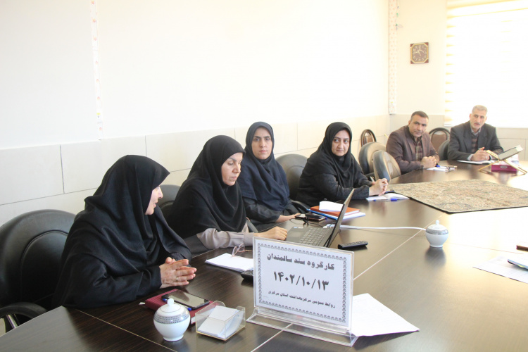 کارگروه سالمندان استان برگزار شد