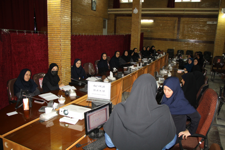 کارگاه بهبود کیفیت مبتنی بر شواهد مراقبت ها و پیامدهای نوزادی بر اساس ۱۰ گام EPIQ