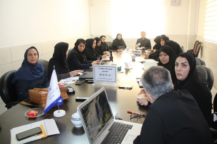 سومین کارگروه پیشگیری از سقط توسط معاونت بهداشت استان برگزار شد