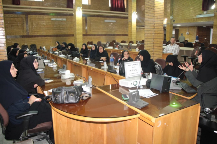 برگزاری جلسه هم‌اندیشی برای ارتقای کیفیت خدمات حوزه کودکان و نوزادان